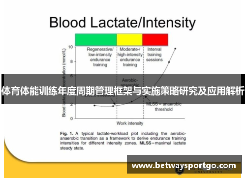 体育体能训练年度周期管理框架与实施策略研究及应用解析