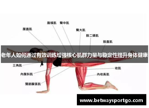 老年人如何通过有效训练增强核心肌群力量与稳定性提升身体健康