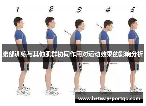腹部训练与其他肌群协同作用对运动效果的影响分析